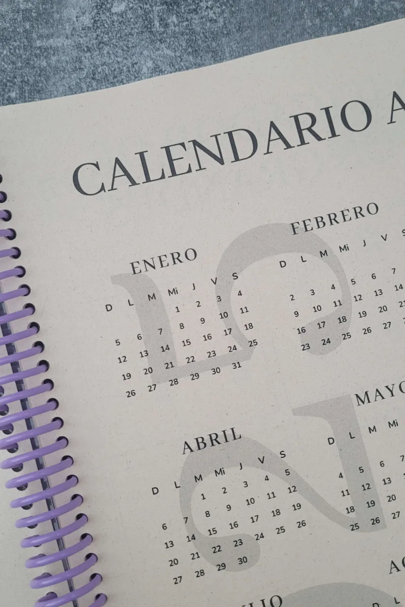 Planner 2025 Finanzas Ahorro Dinero Dineroenorden 13