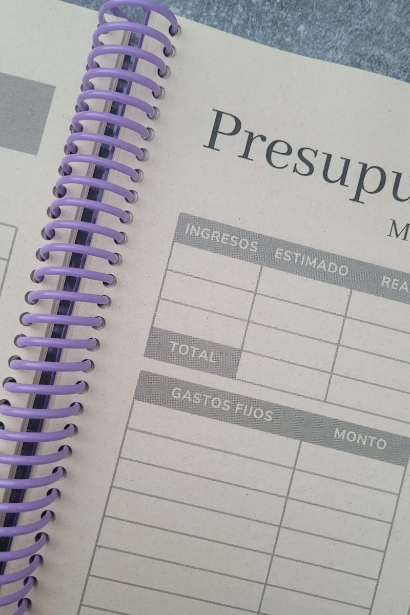 Planner 2025 Finanzas Ahorro Dinero Dineroenorden 8